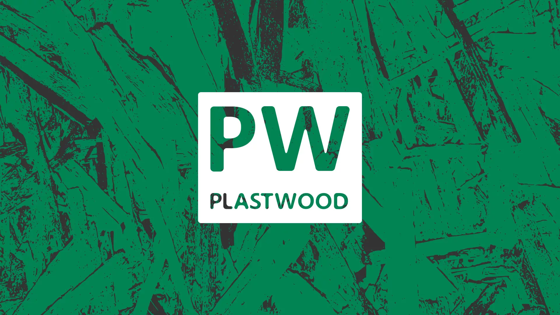 Разработка айдентики и сайта компании «Plastwood» в Закаменске