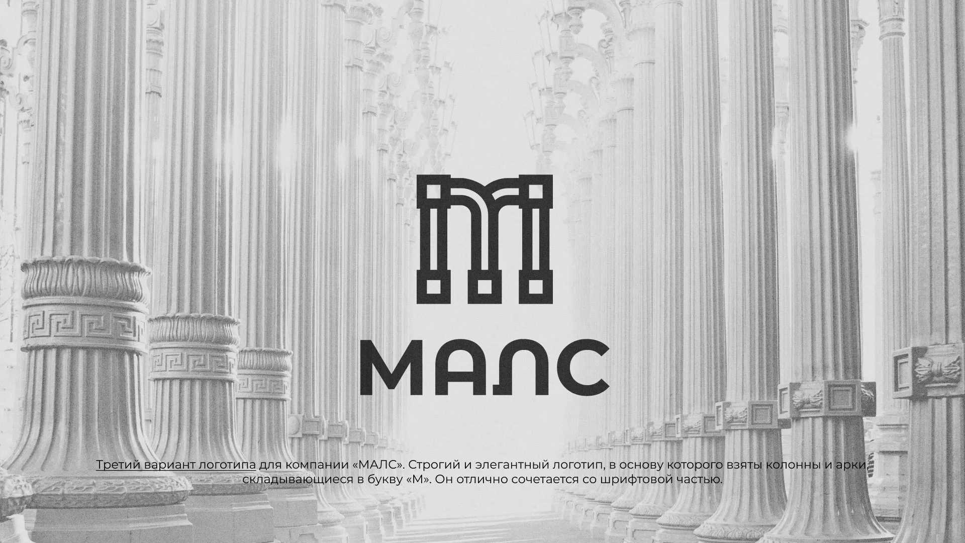Разработка логотипа компании «МАЛС» в Закаменске