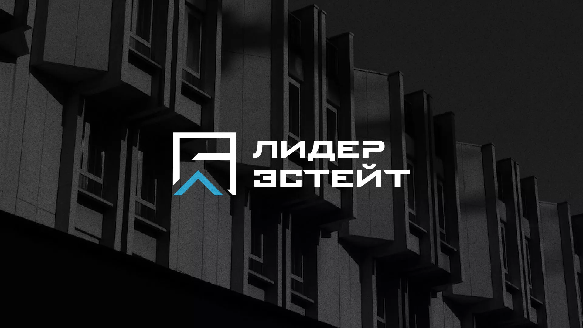 Разработка логотипа агентства недвижимости «Лидер Эстейт» в Закаменске